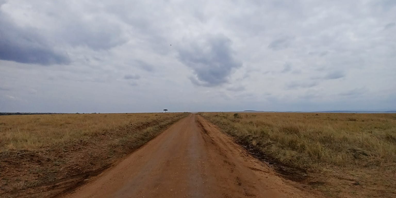 b1027160-c550-42f6-a69f-e751962e4ec7