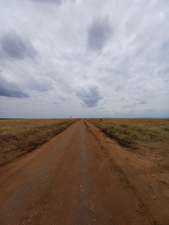 b1027160-c550-42f6-a69f-e751962e4ec7